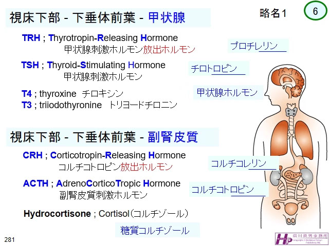 動画マスター 機能形態学 動画リスト